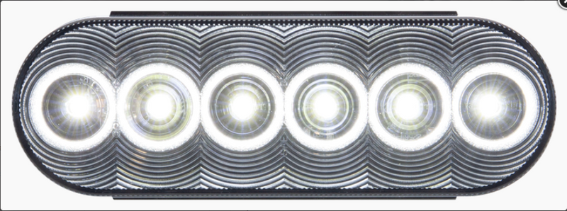 (ETA 4-5 WEEKS TO SHIP) 21-000-085 LIGHT, LED, WHITE, OVAL, 6" FLANGE, W/AMP PIN - buspartexperts.com